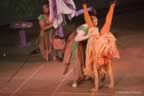 PeterPan06031.jpg (248kb)