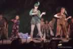 PeterPan06037a.jpg (225kb)